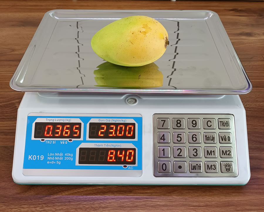 Cân điện tử Vinh Nghệ An