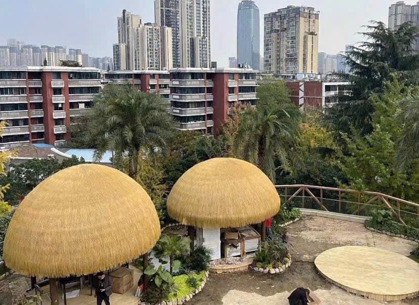 Cỏ rơm nhựa nhân tạo Vinh Nghệ An