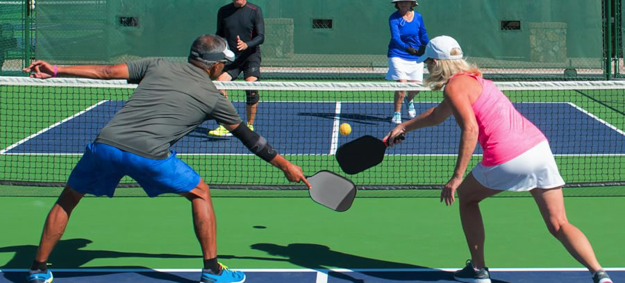 Ph&acirc;n phối cung cấp sơn Pickleball Vinh Nghệ An