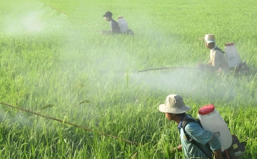 Thuốc bảo vệ thực vật sinh học