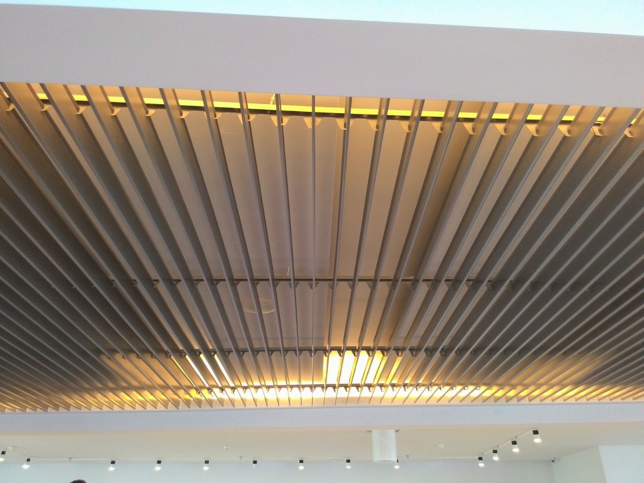 ỨNG DỤNG TRẦN NH&Ocirc;M V-100